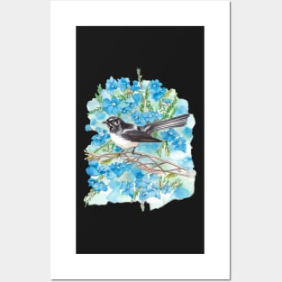 Willie Wagtail on Lechenaultia Posters and Art